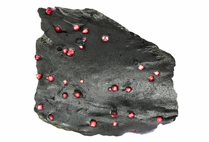 Plate of + Red Embers Garnets in Graphite - Massachusetts #301215